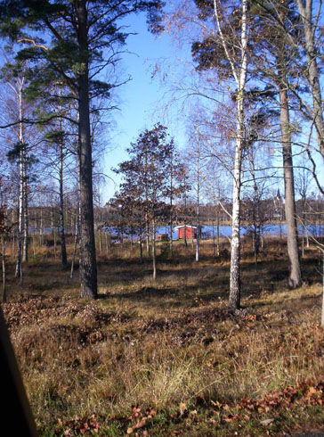 Bastun vid Klobosjön i höstsol 31/10 2007. (Foto: Stefan Lundell)